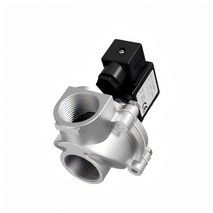 Impulsinis vožtuvas DMF-Z-20